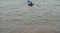 IMG-20260923-WA0008(1)
