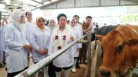 full_1790730115903613_38478f273a_berita_pusat-pemberitaan
